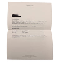 Platinum Diamond Soleste Earrings