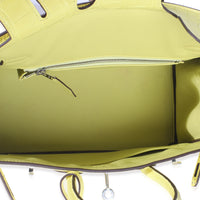 Lime Mississippiensis Matte Alligator Birkin 25 PHW