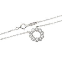 Tiffany & Co. Diamond Circle Necklace in Platinum (0.80 CTW)