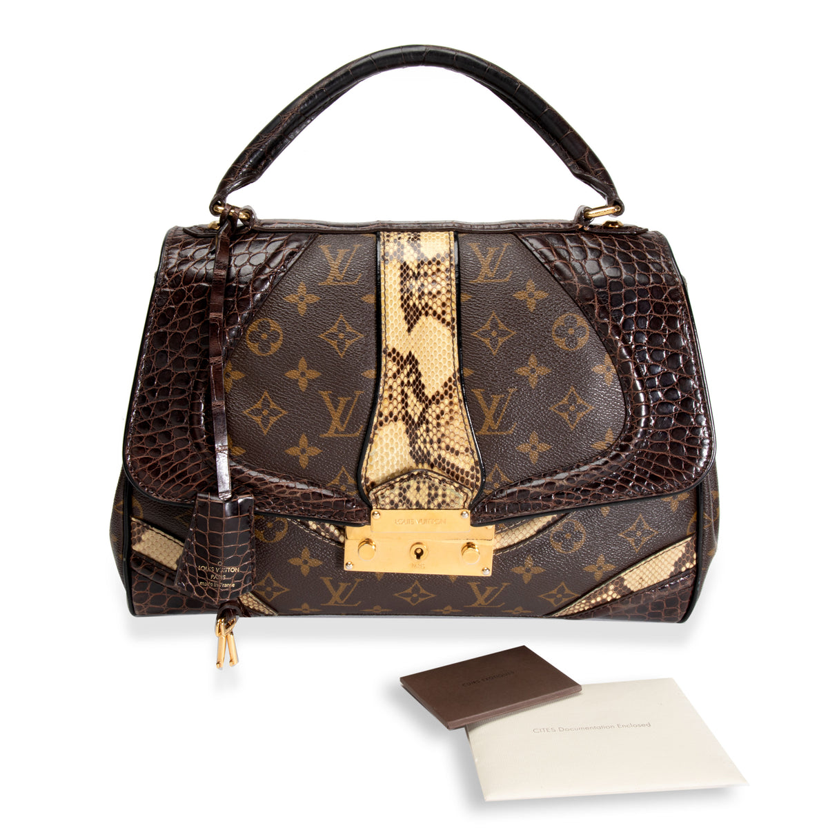 Louis Vuitton Limited Edition Bag for Women
