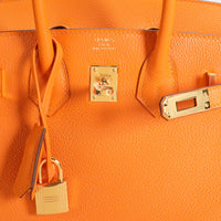 Hermès Abricot Novillo Leather Birkin 25 with Gold Hardware