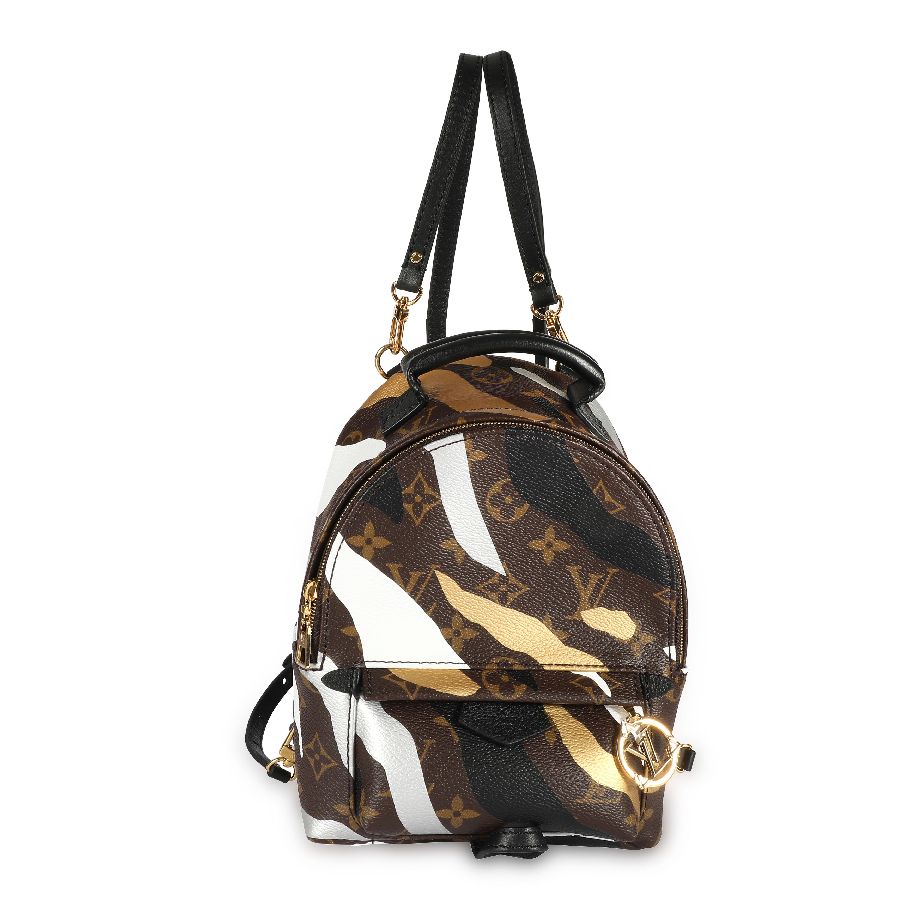 Louis Vuitton Palm Springs Mini Backpack - Touched Vintage