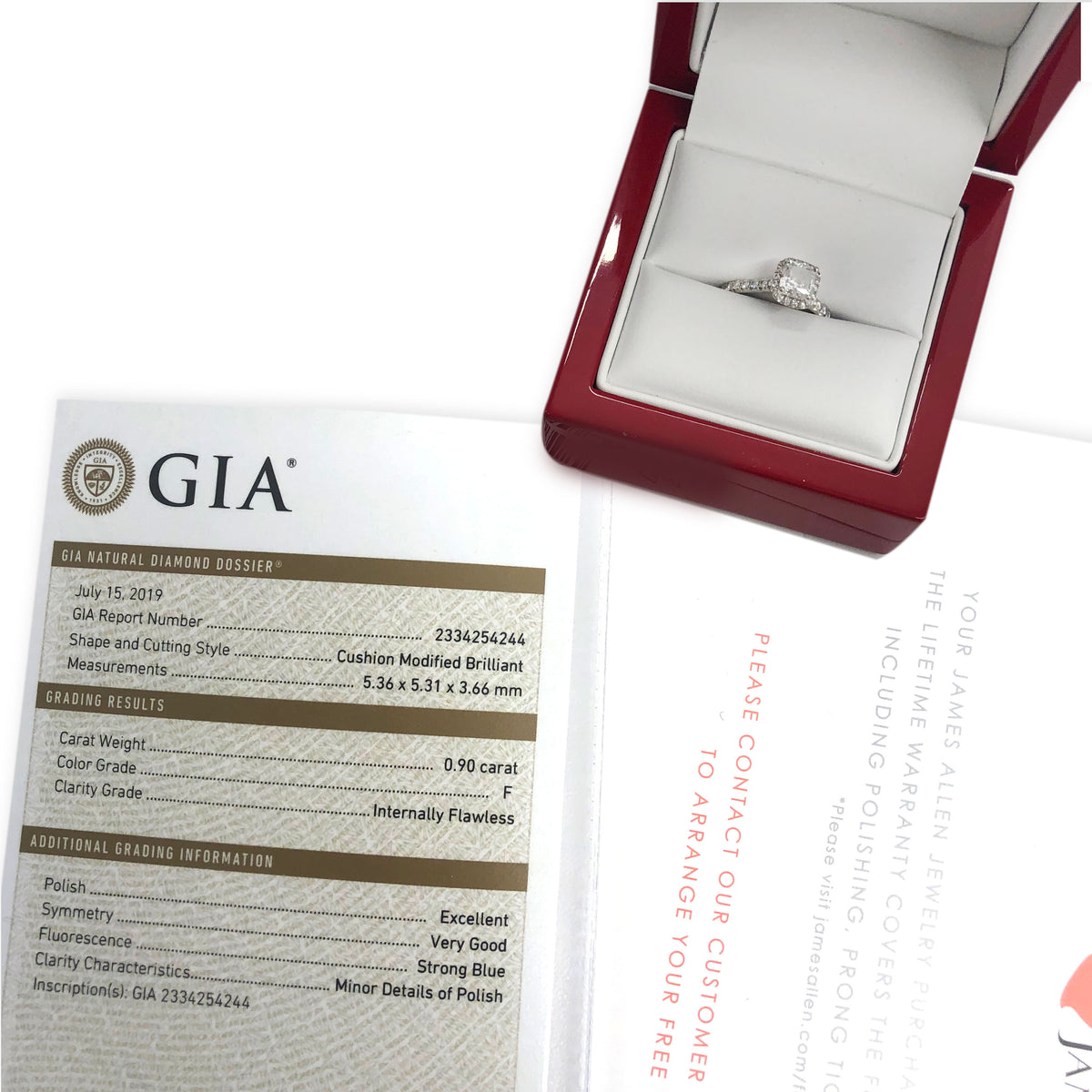 James Allen Halo Diamond Engagement Ring in 14K White Gold GIA F IF 1.23 CTW