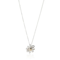 Tiffany & Co. Paloma Picasso Daisy Necklace in  Sterling Silver