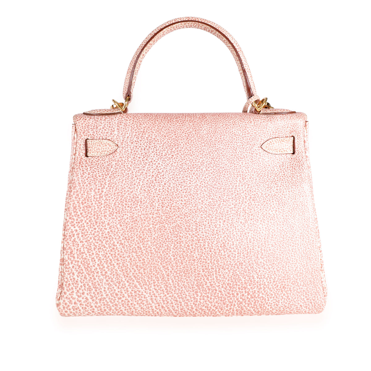 Louis Vuitton Authenticated Dalmatian Handbag
