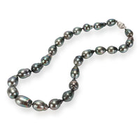 Baroque Black South Sea Pearl Necklace with in 14K White Gold