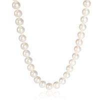 David Yurman Pearl Classics Diamond Necklace in  Sterling Silver 0.38 CTW