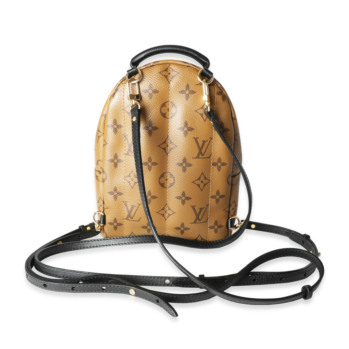 Louis Vuitton Monogram & Monogram Reverse Canvas Palm Springs Mini Backpack