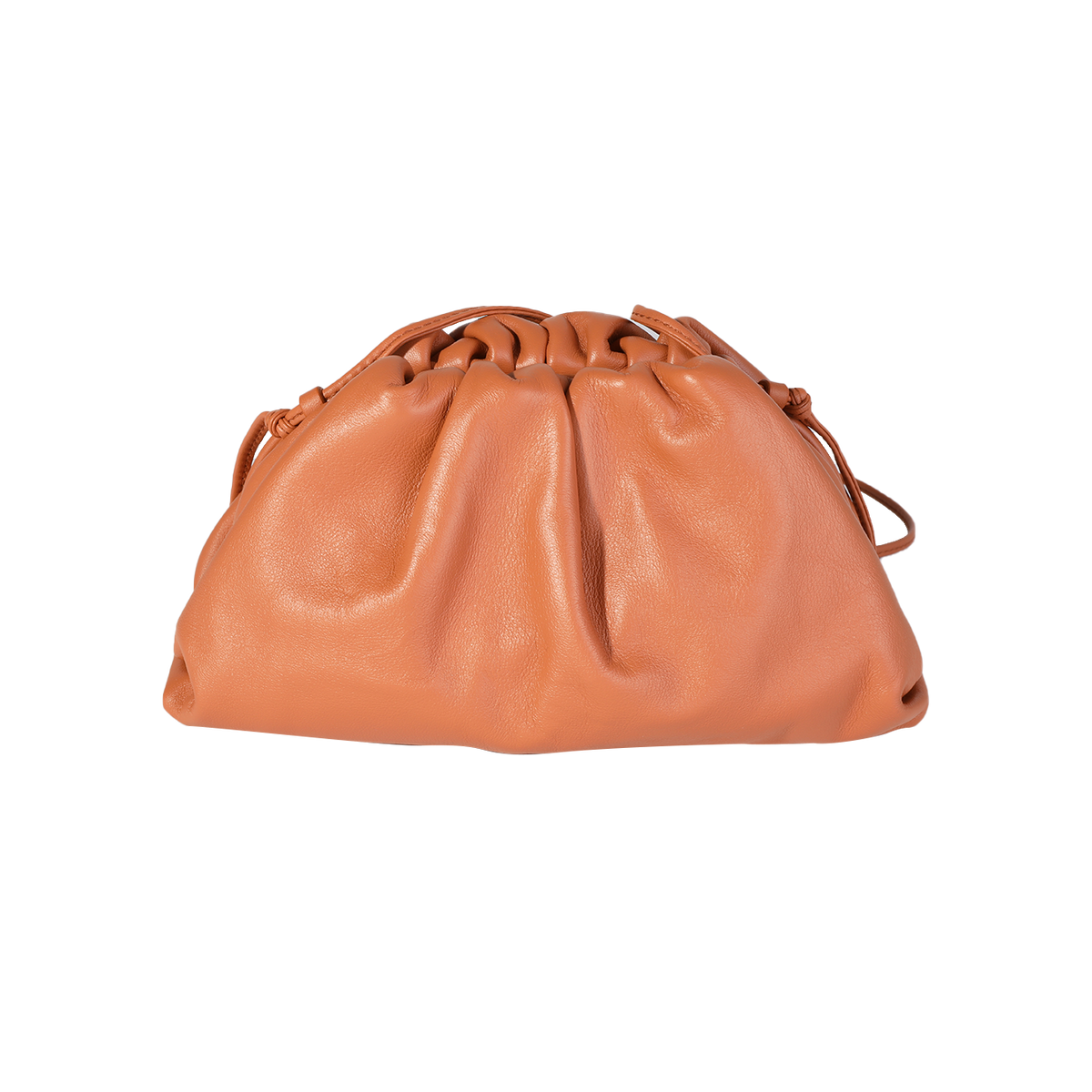 Bottega Veneta Clay Calfskin Mini Pouch