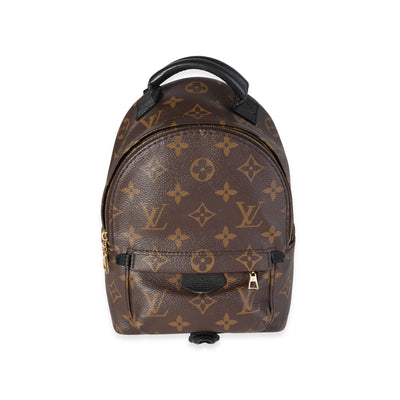 Louis Vuitton Monogram Canvas Palm Springs Mini Backpack