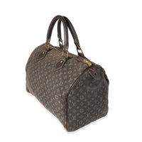 Louis Vuitton Brown Mini Lin Speedy 30