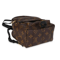 Louis Vuitton Monogram Canvas Palm Springs Mini Backpack