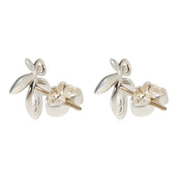 Tiffany & Co. Paloma Picasso Olive Leaf Earrings in Sterling Silver