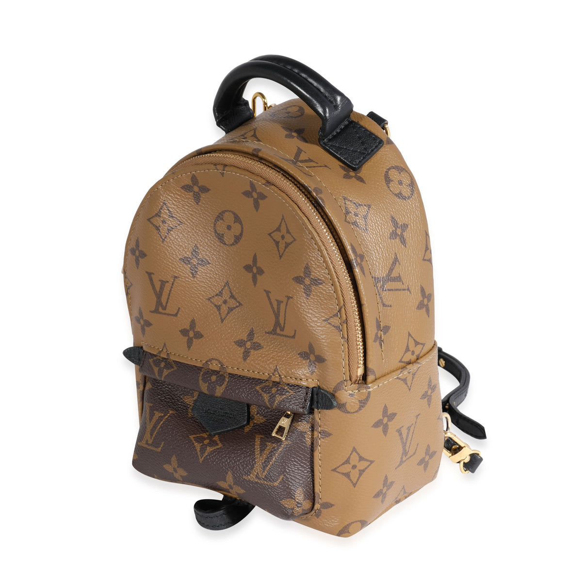 Louis Vuitton Monogram Reverse Palm Springs Mini Backpack