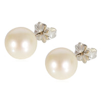 Tiffany & Co. Ziegfield Pearl Earrings in 925 Sterling Silver