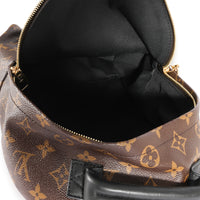 Louis Vuitton Monogram Canvas Palm Springs PM