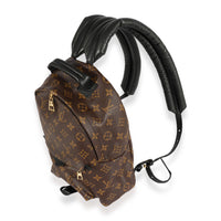 Louis Vuitton Monogram Canvas Palm Springs PM