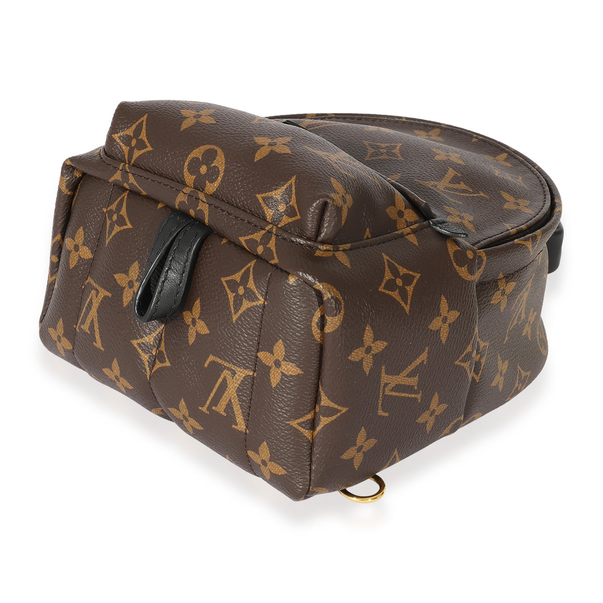 Louis Vuitton Monogram Mini Palm Spring Backpack