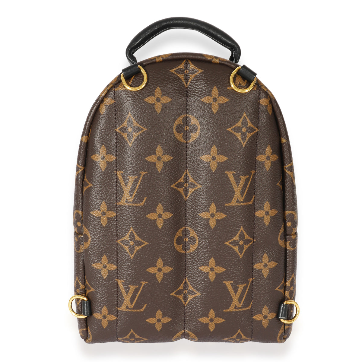 Louis Vuitton Monogram Mini Palm Spring Backpack