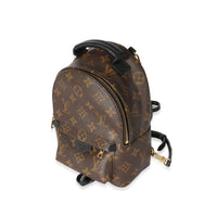 Louis Vuitton Monogram Mini Palm Spring Backpack
