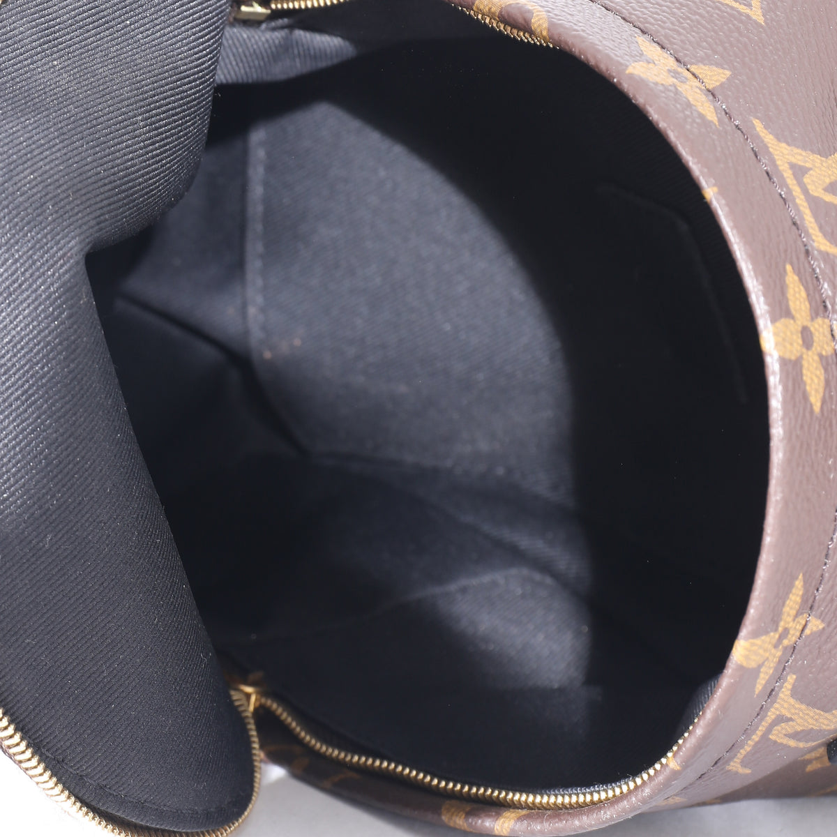 Louis Vuitton Monogram Mini Palm Spring Backpack