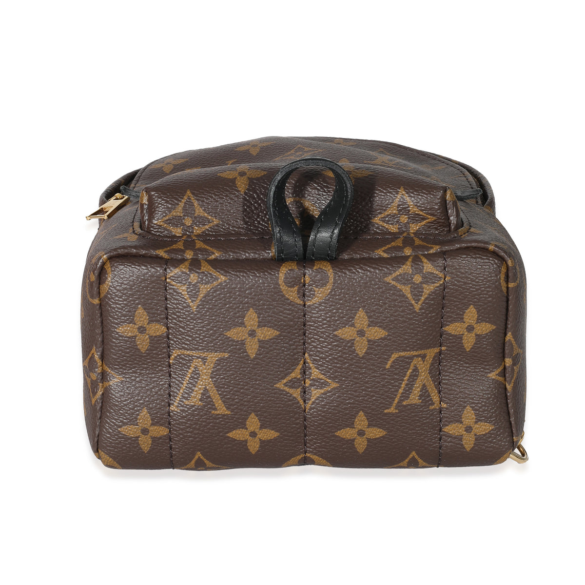 Louis Vuitton Monogram Mini Palm Spring Backpack