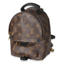 Louis Vuitton Monogram Mini Palm Spring Backpack