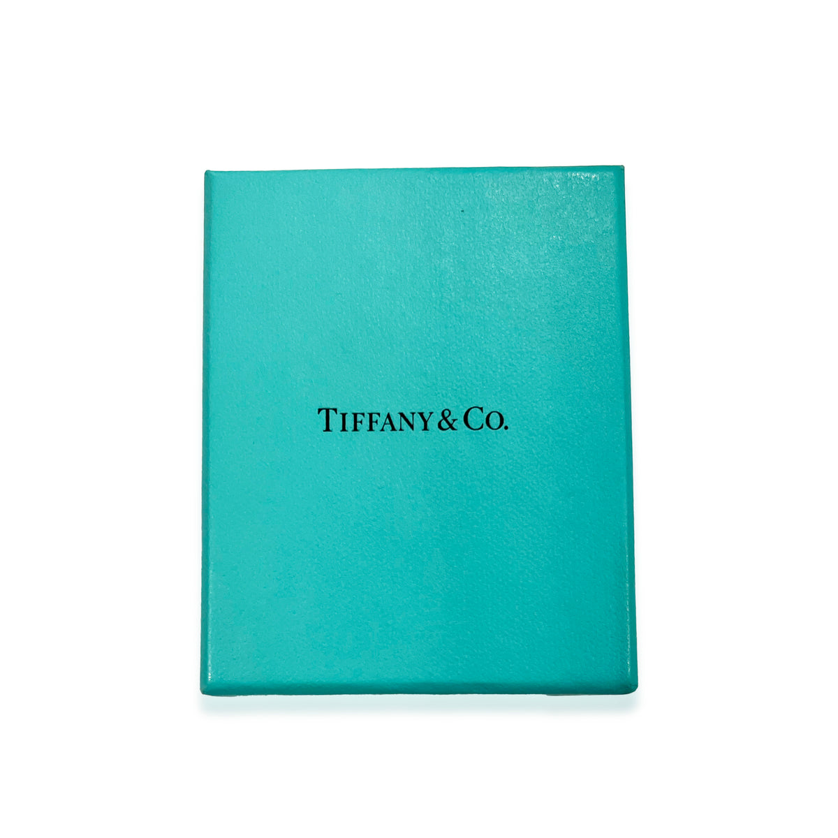 Tiffany & Co. Charm Bracelet in  Sterling Silver