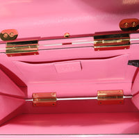 Gucci Pink Plexiglass Mini Sylvie 1969