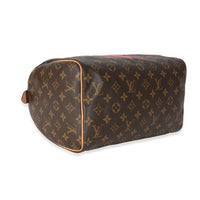 Louis Vuitton Monogram Canvas & Grenade V Speedy 30