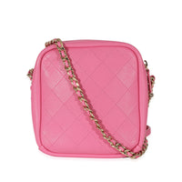 Chanel Pink Goatskin Casual Trip North South Camera Case