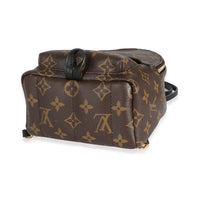 Louis Vuitton Monogram Canvas Mini Palm Spring Backpack