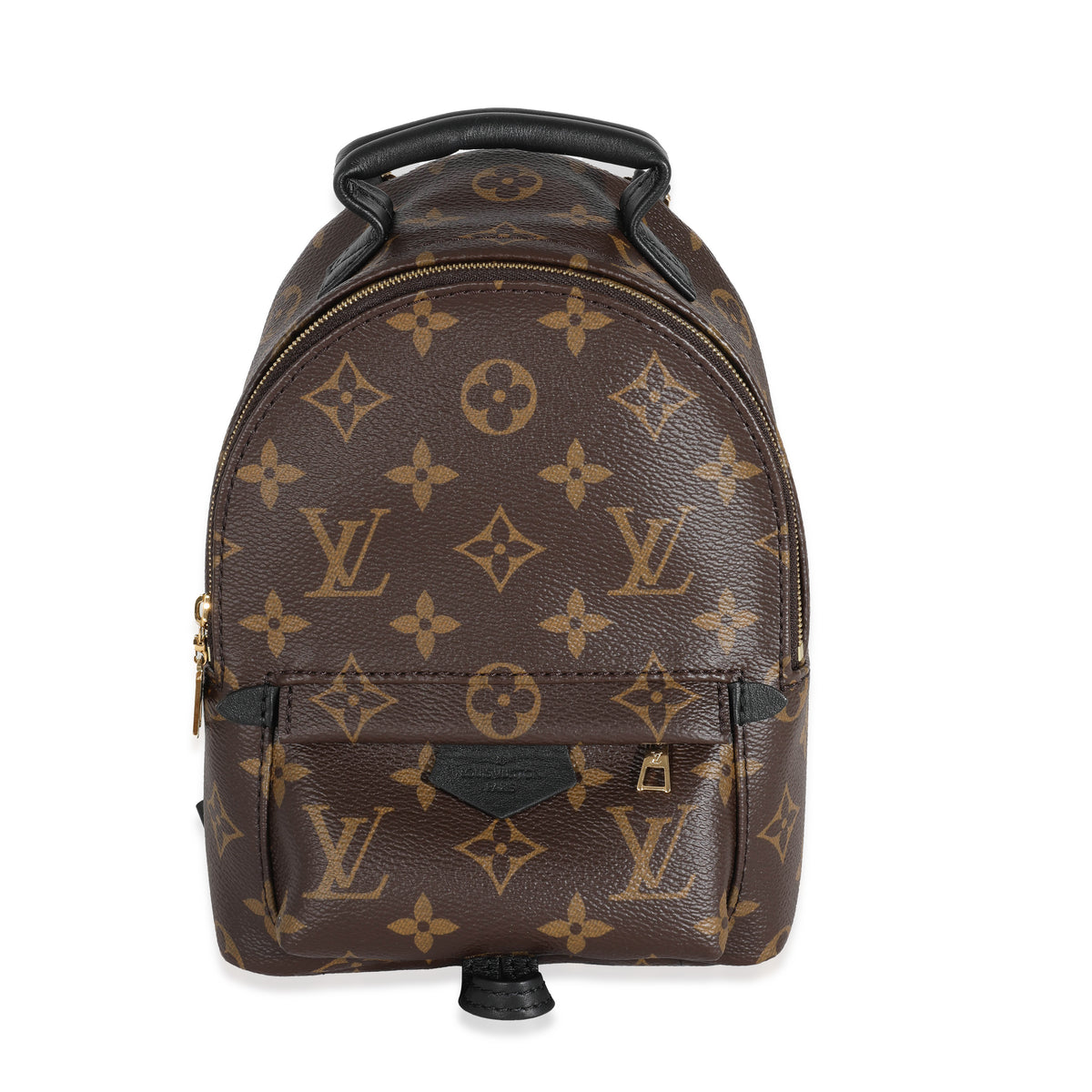 Louis Vuitton Monogram Canvas Mini Palm Spring Backpack