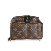 Louis Vuitton Monogram Canvas Mini Palm Spring Backpack