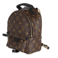 Louis Vuitton Monogram Canvas Mini Palm Spring Backpack