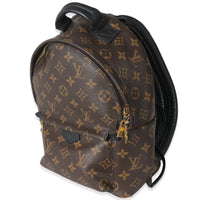 Louis Vuitton Monogram Canvas Palm Springs PM