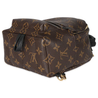 Louis Vuitton Monogram Canvas Mini Palm Springs