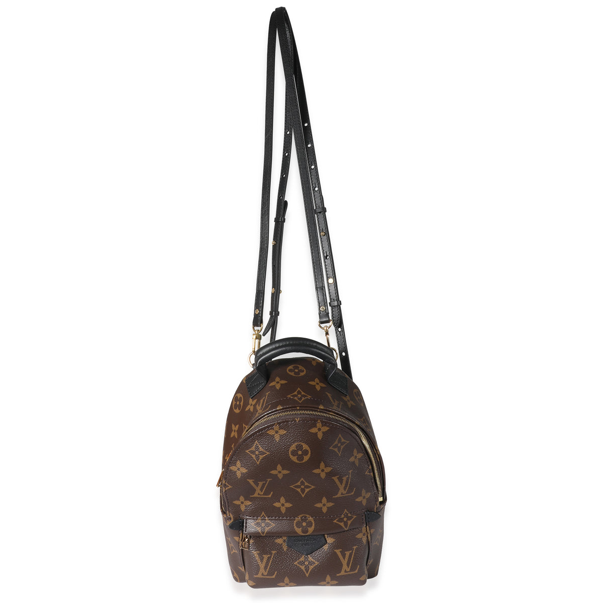 Louis Vuitton Monogram Canvas Mini Palm Springs