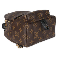 Louis Vuitton Monogram Canvas Mini Palm Springs