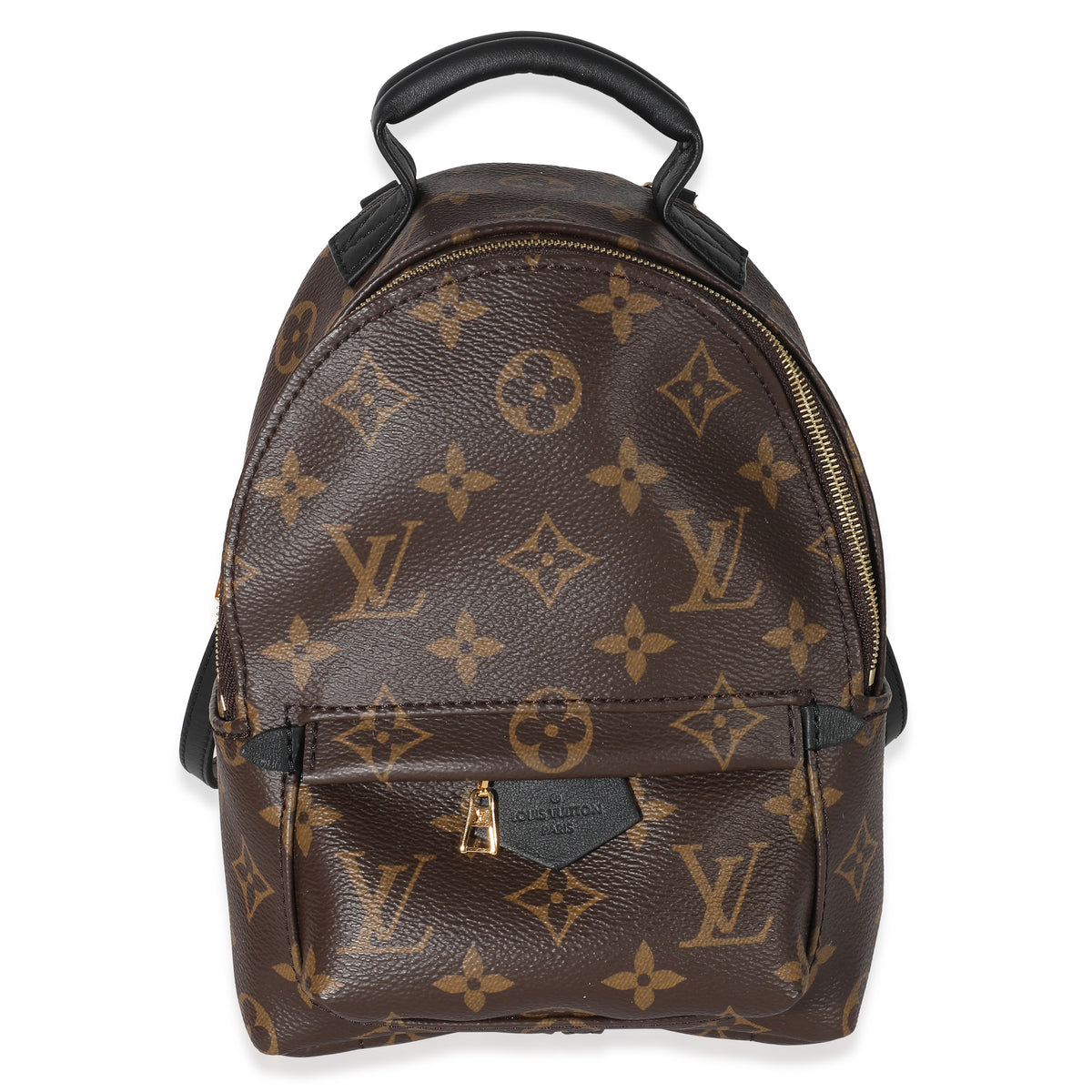 Louis Vuitton Monogram Canvas Mini Palm Springs