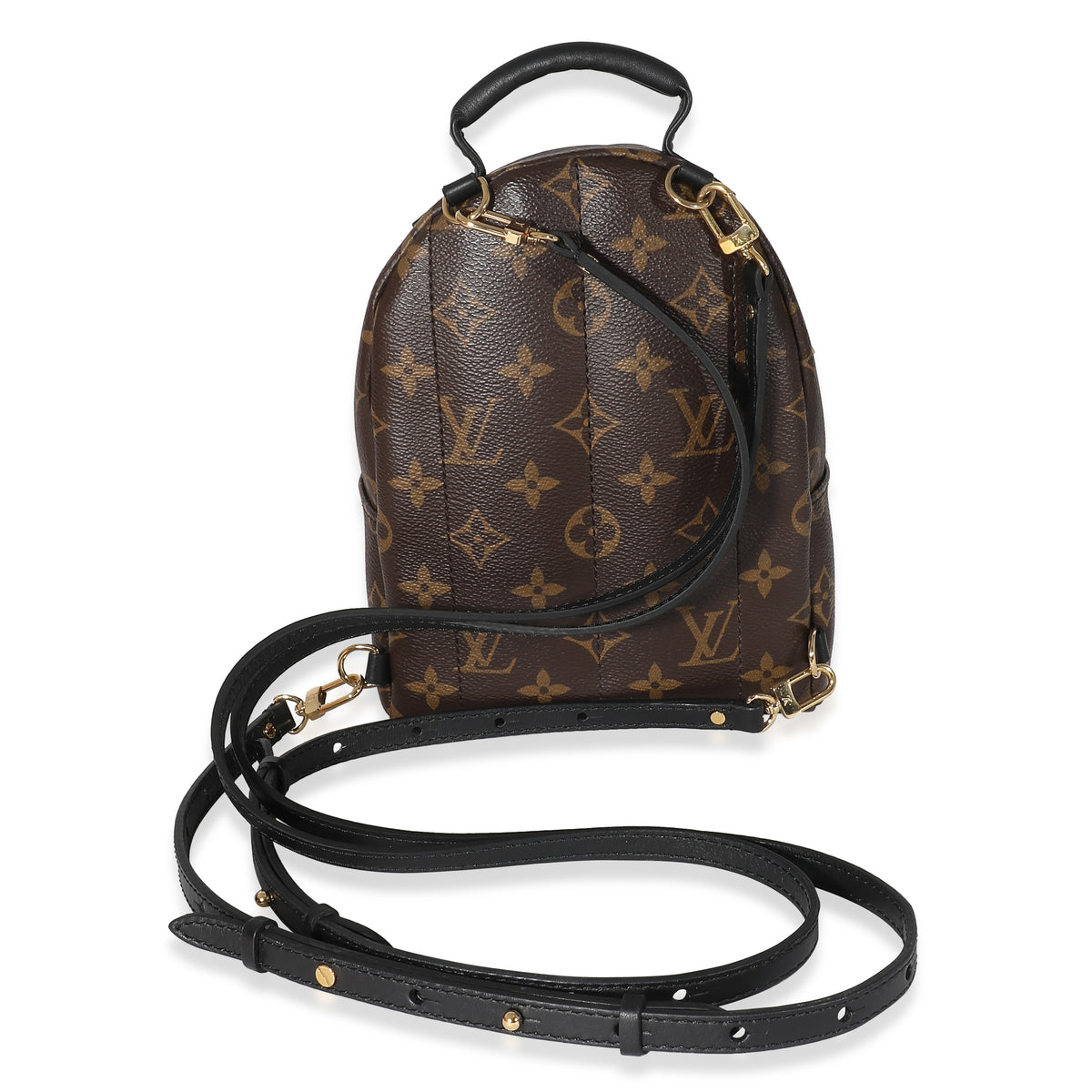 Louis Vuitton Monogram Canvas Mini Palm Springs