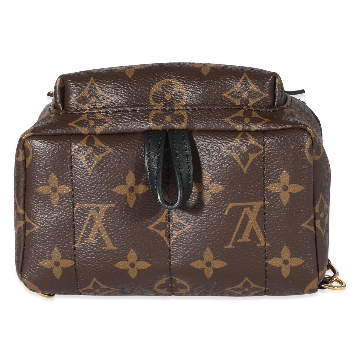 Louis Vuitton Monogram Canvas Mini Palm Springs