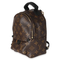 Louis Vuitton Monogram Canvas Mini Palm Springs