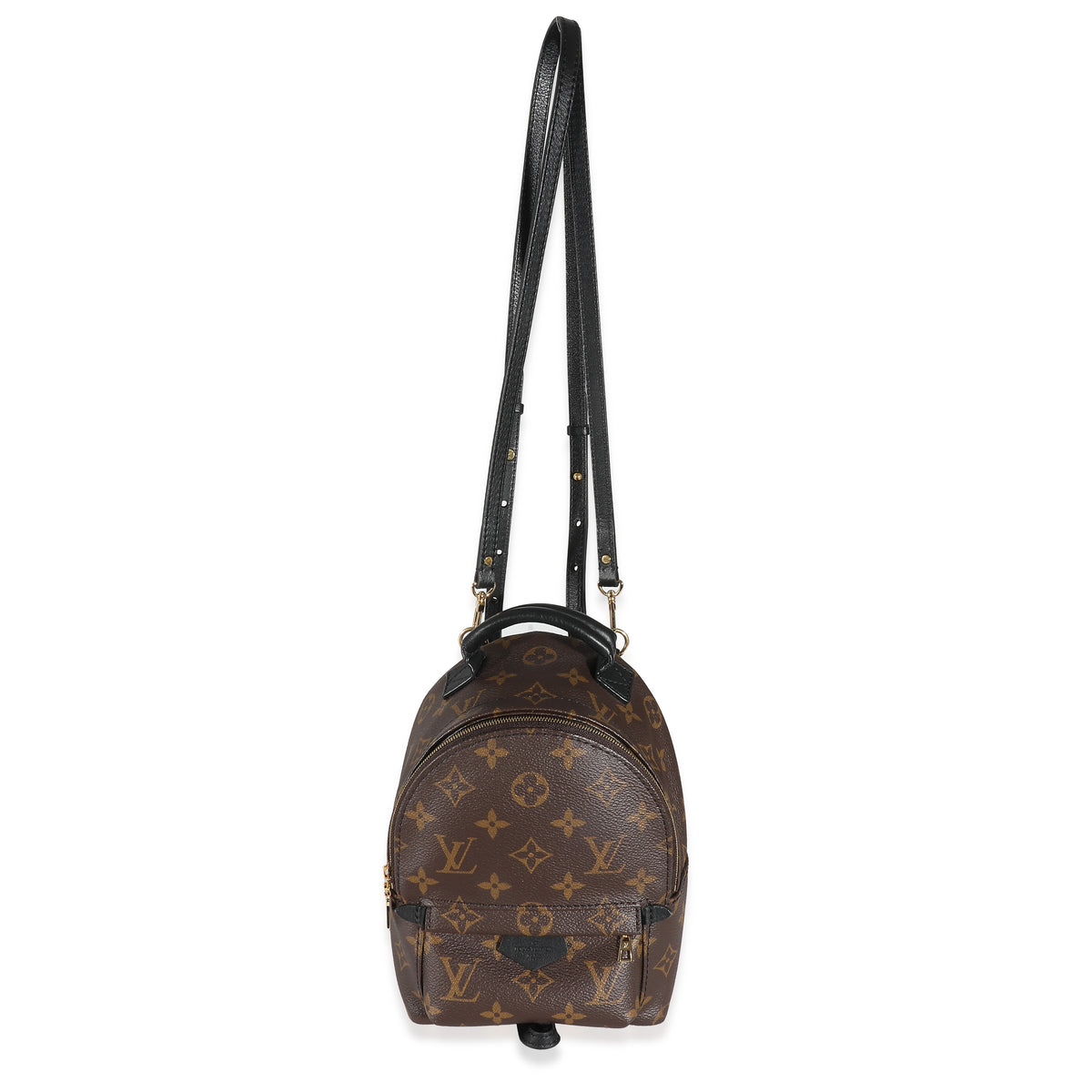 Louis Vuitton Monogram Canvas Mini Palm Springs