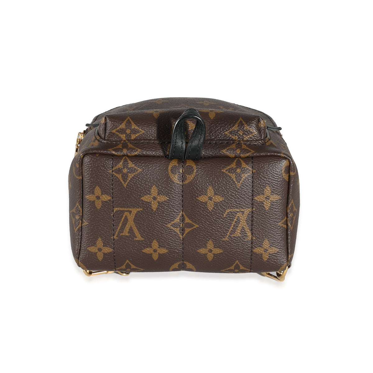 Louis Vuitton Monogram Canvas Mini Palm Springs