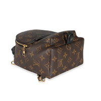 Louis Vuitton Monogram Canvas Mini Palm Springs