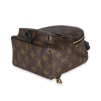 Louis Vuitton Monogram Canvas Mini Palm Springs