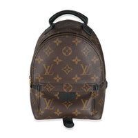 Louis Vuitton Monogram Canvas Mini Palm Springs