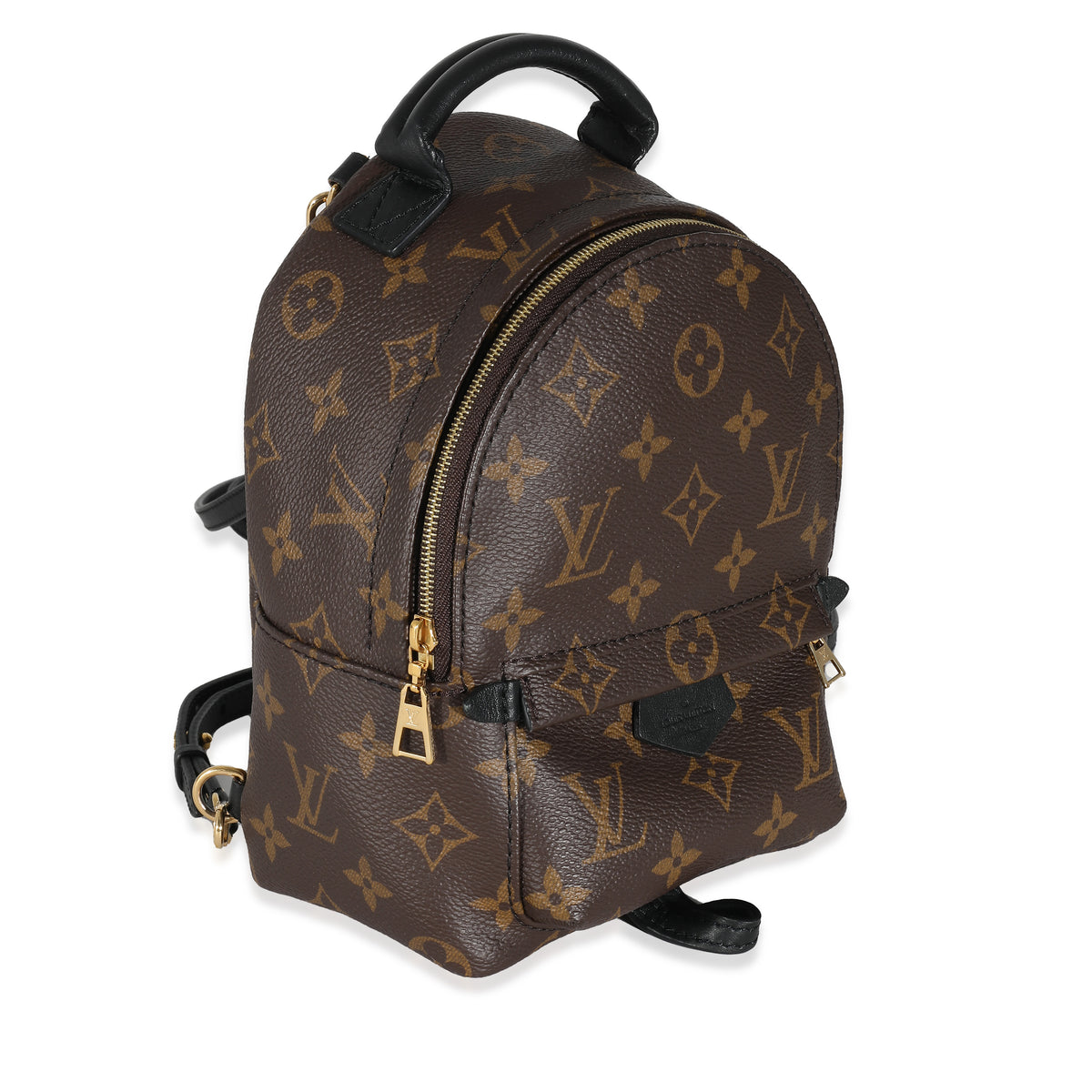 Louis Vuitton Monogram Canvas Mini Palm Springs