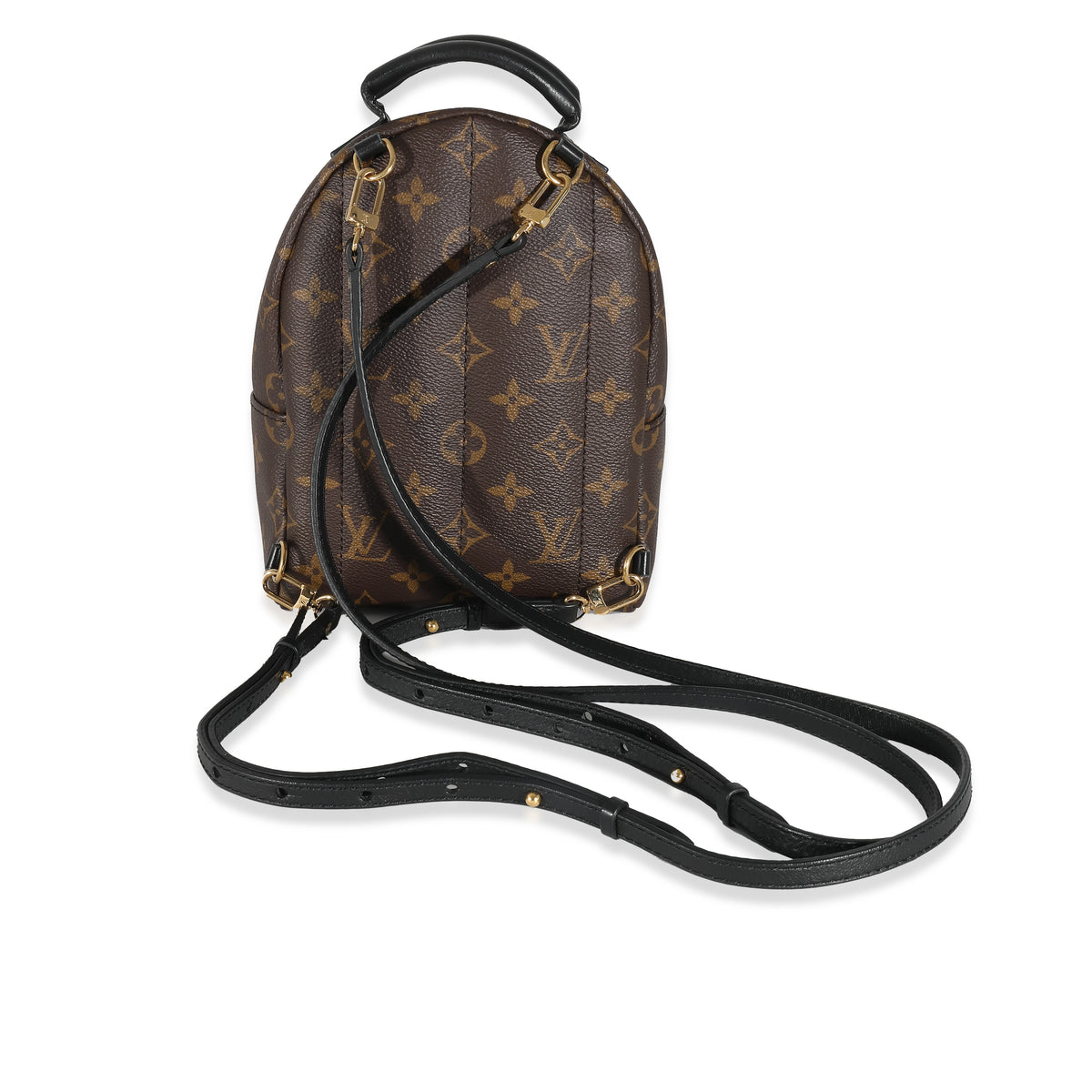 Louis Vuitton Monogram Canvas Mini Palm Springs